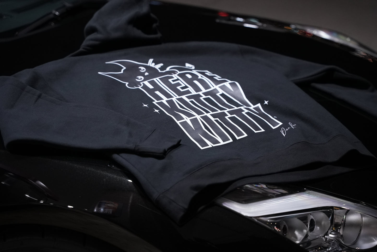 Here, Kitty Kitty Hoodie